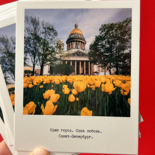 Сувенирная фото-открытка из Санкт-Петербурга "Исаакиевский собор, тюльпан", 10 × 10 см, РФ