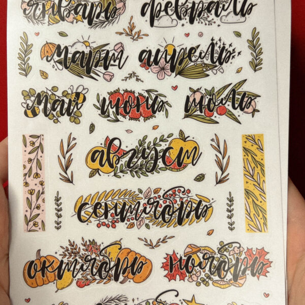 Стикер-пак "Месяца", винил, А6, РФ