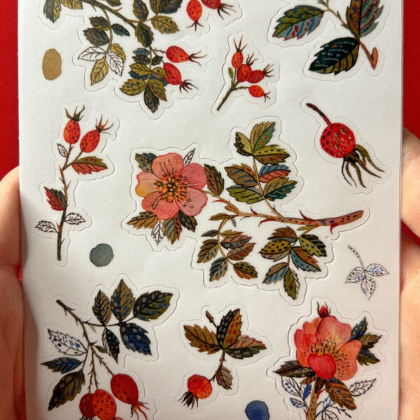 Стикер-лист "Шиповник", винил, РФ