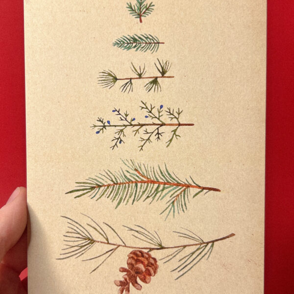 Открытка «Еловые веточки», 10 × 15 см, РФ