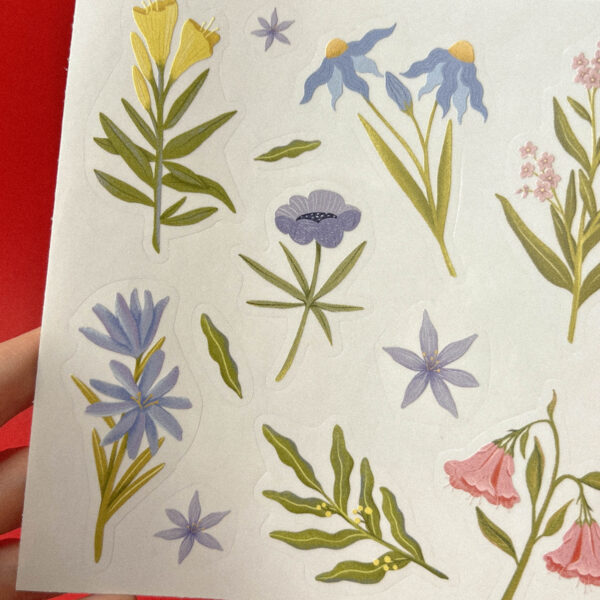 Стикер-пак «Цветы», винил, РФ